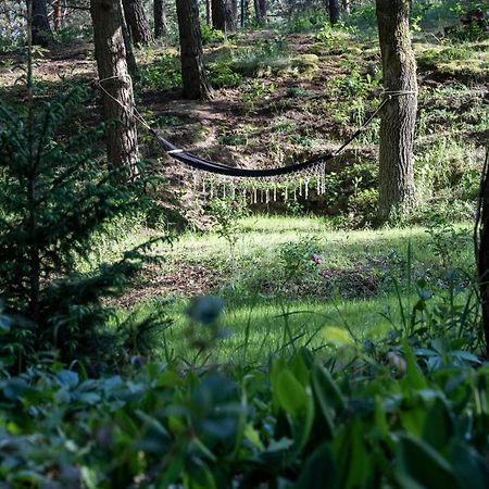 Uroczy Maly Domek Na Lesnej Dzialce - Losiowka Losie Buitenkant foto